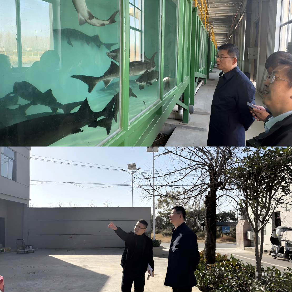 調(diào)研“智慧漁場”及社區(qū)集體經(jīng)濟發(fā)展.png